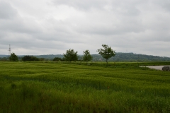 Krajobraz rolniczy.