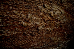 Fragment tkaniny