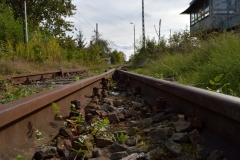DSC_0836