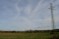 DSC_0949