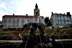 Pzemyski niedzwiedź.