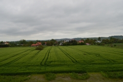 Krajobraz rolniczy