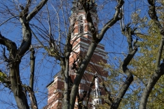 salezjan