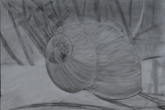 Martwa natura. Format A3, ołówek.